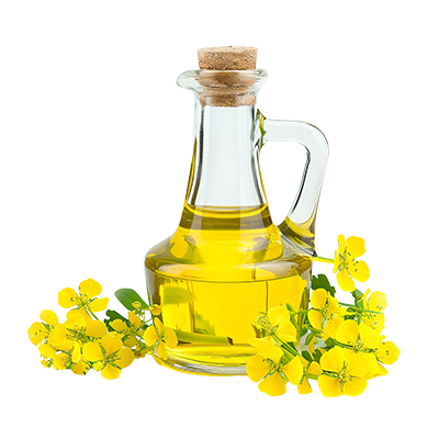 canola-oil